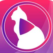 小猫直播app下载