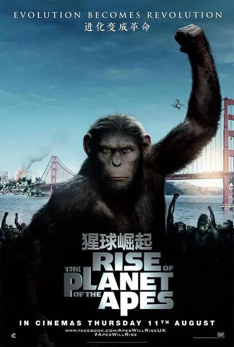 猩球崛起4 下载2026