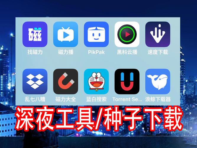 种子磁力播放器截图