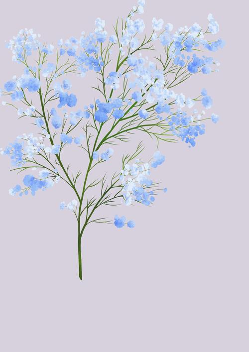 漫天星漫画app正版最新版本下载