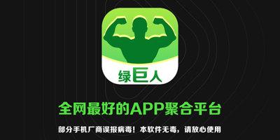 绿巨人2008下载2026