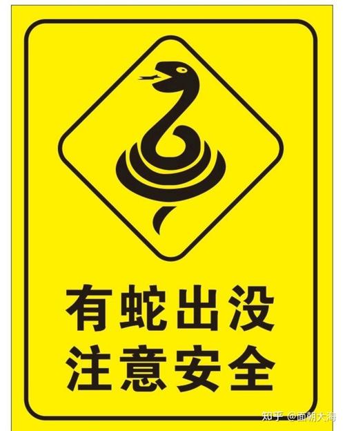 毒蛇影院下载2026