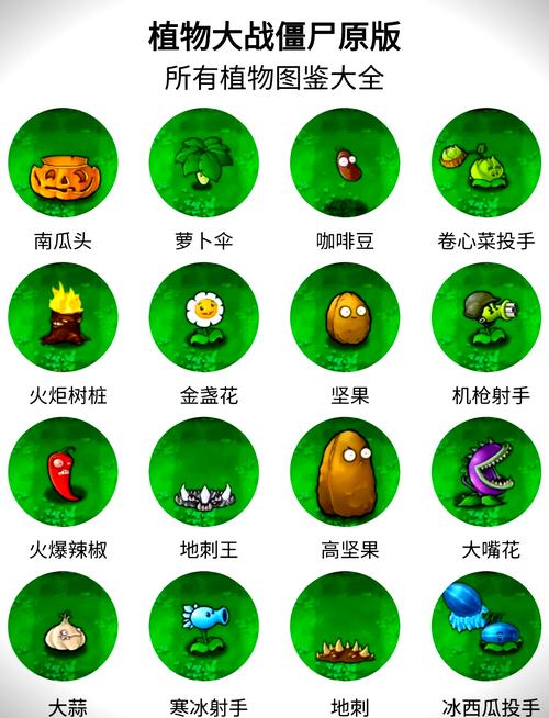 植物大战僵尸破解2026