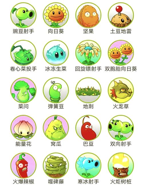 植物大战僵尸bt