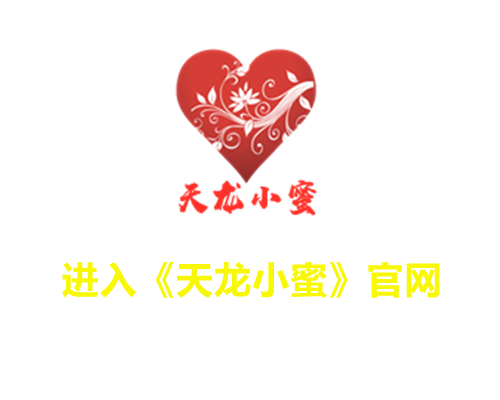 天龙辅助免费版