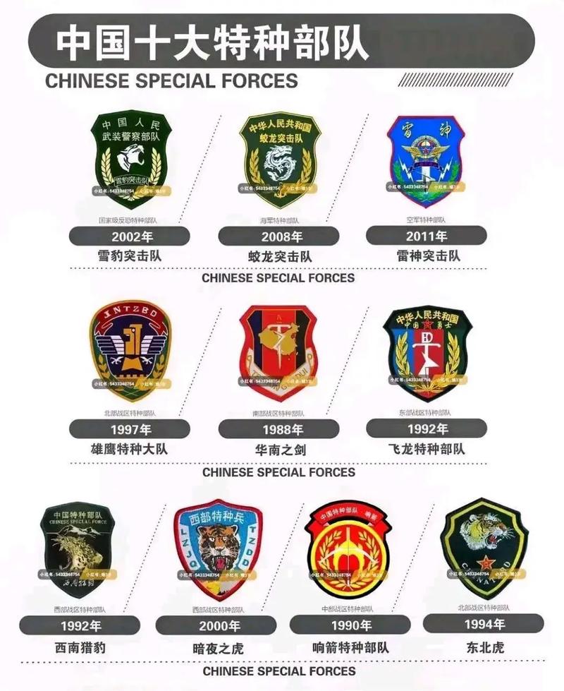 特种部队小组2026