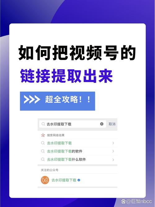 视频链接下载2026