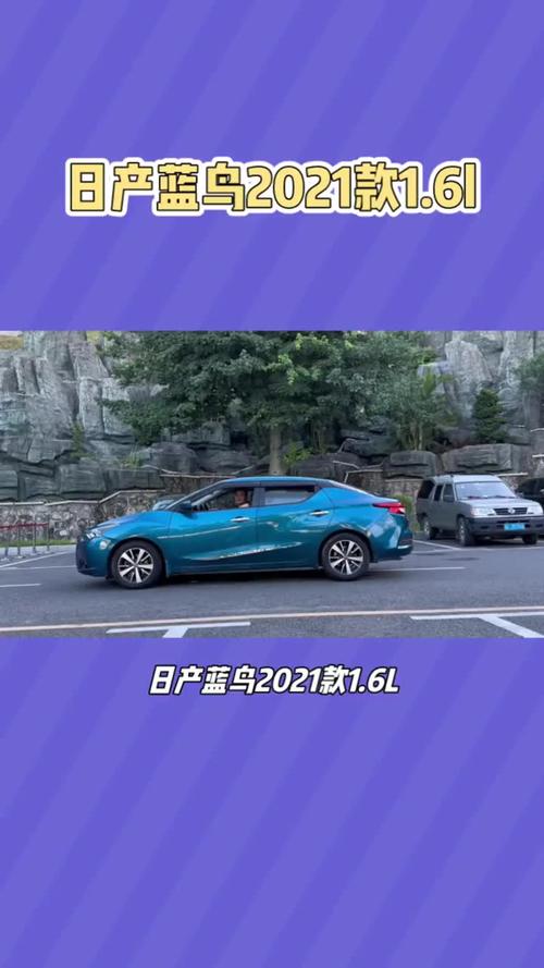 蓝鸟视频官方版截图