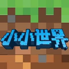 我的小小世界2026