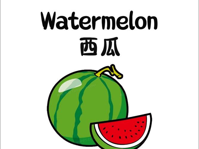 西瓜漫画2026