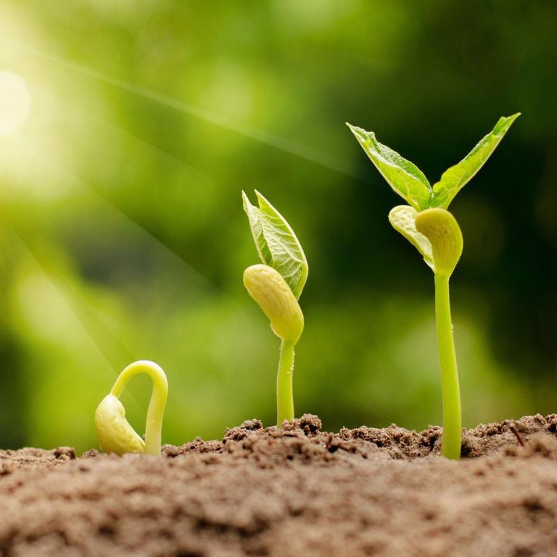 嫩芽视频app免费版下载截图