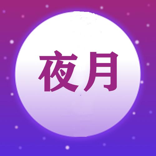 夜月视频2026