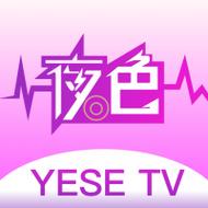 夜色tv下载2026
