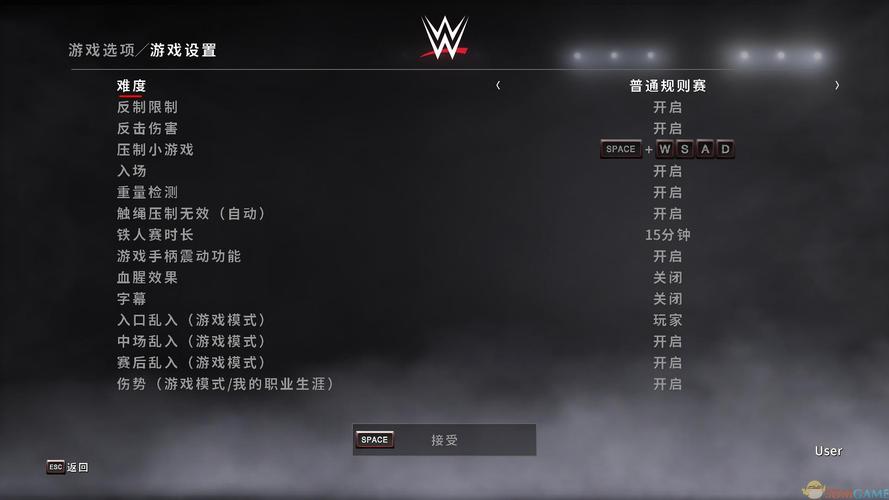 wwe2k172026截图