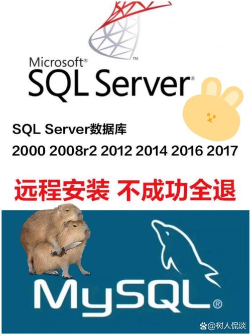 sqlserver2005 下载2026