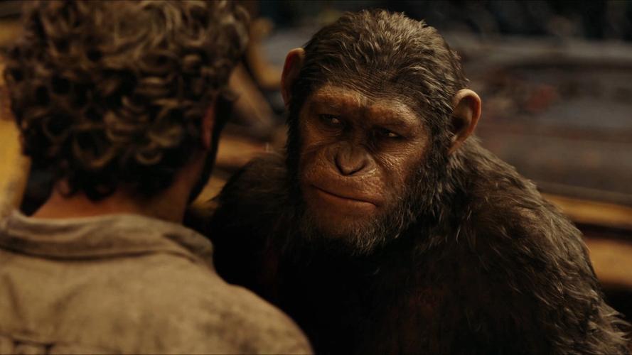 猩球崛起下载
截图