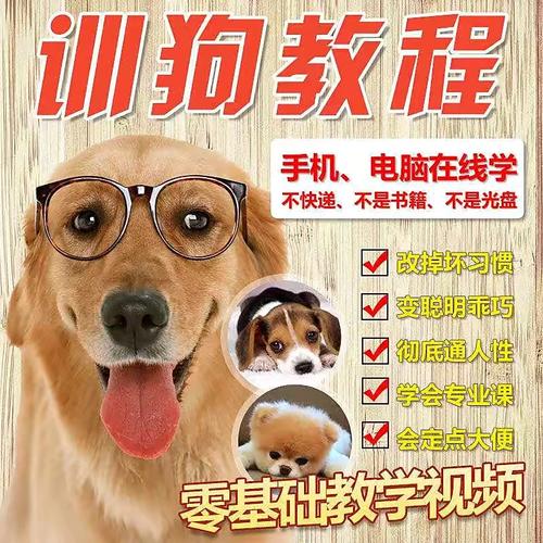 训狗教程2026