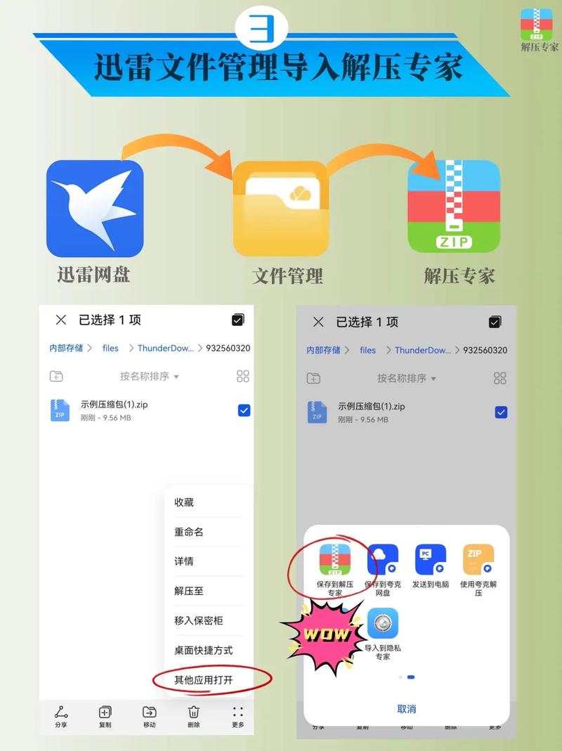手机迅雷下载不了2026