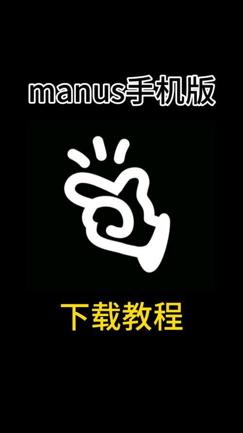 Manus正版下载截图