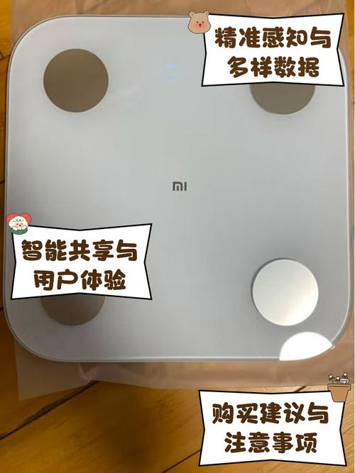 小米体脂秤2026