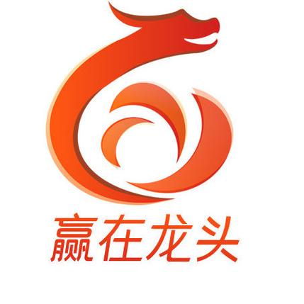 赢在龙头决策版破解