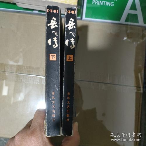 岳飞全传下载截图