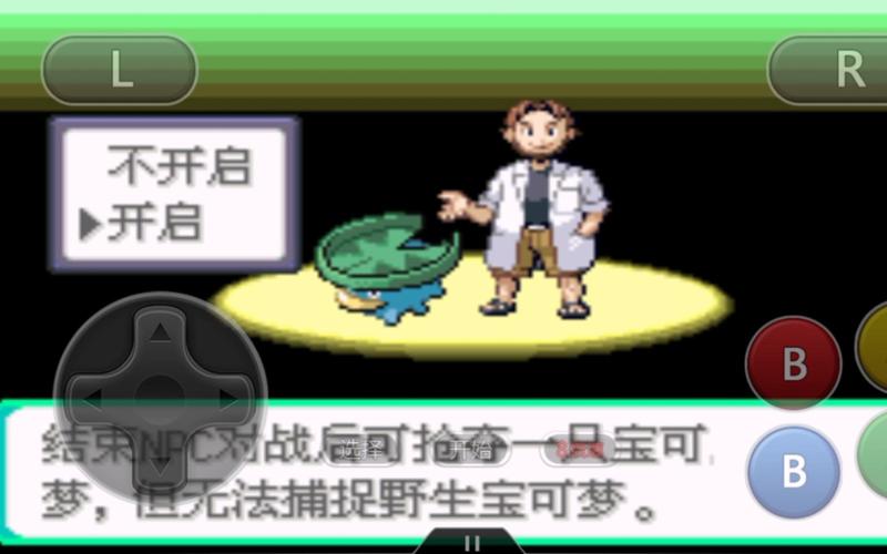 神奇宝贝绿宝石截图