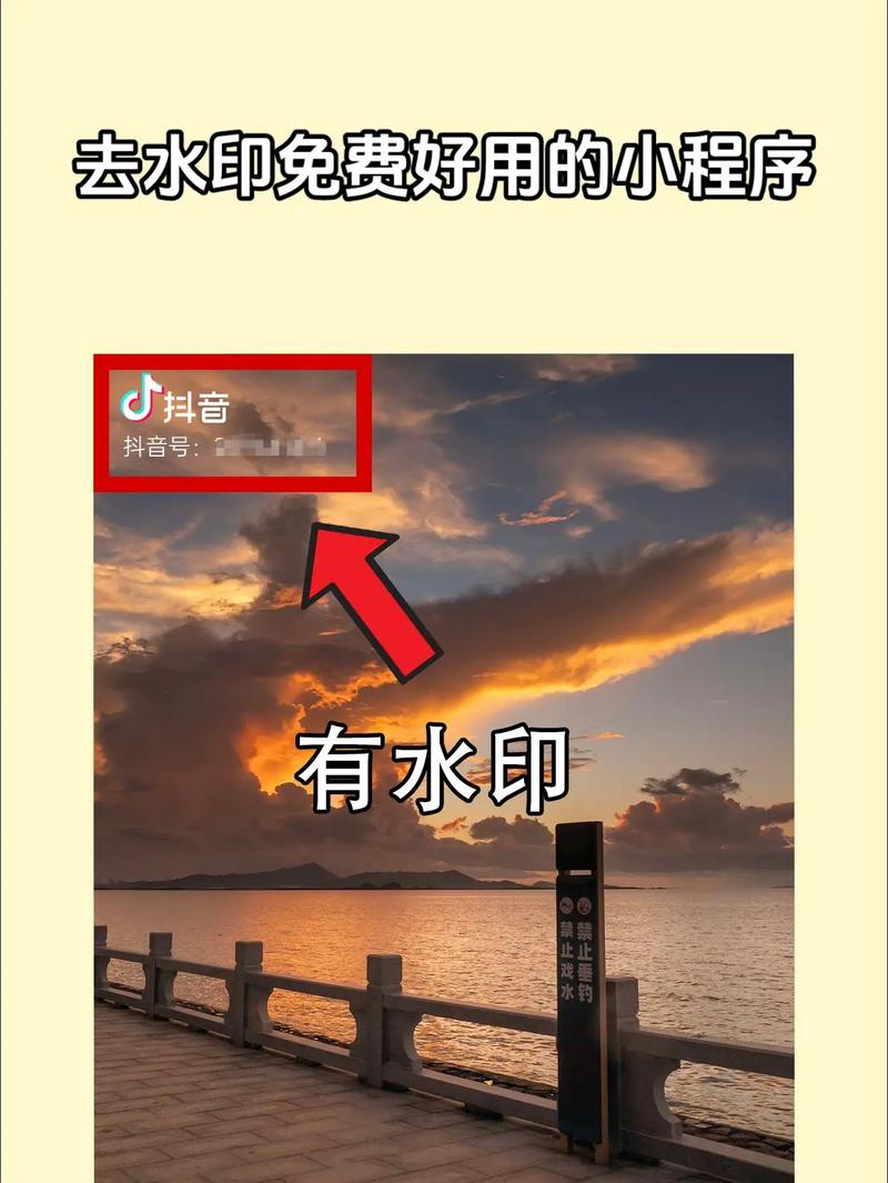 去视频水印软件2026截图