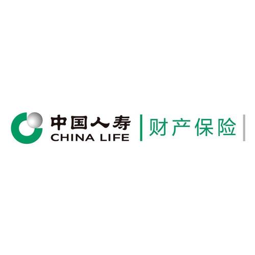 中国人寿保险app下载2026