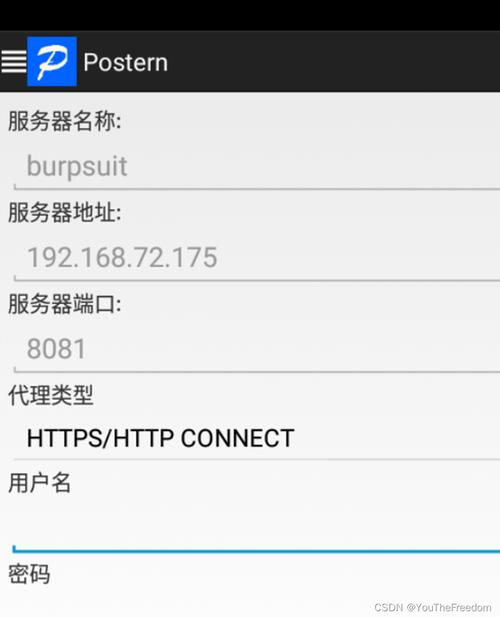 抓包软件下载截图
