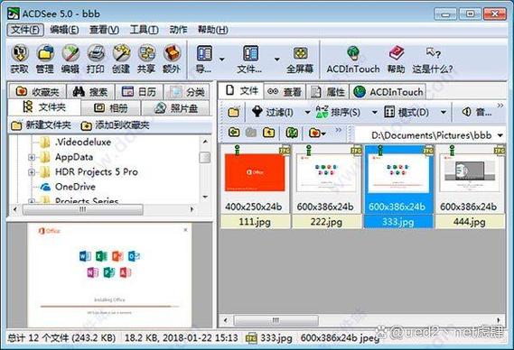 acdsee绿色版截图