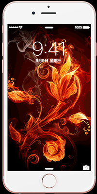 动态锁屏壁纸2026