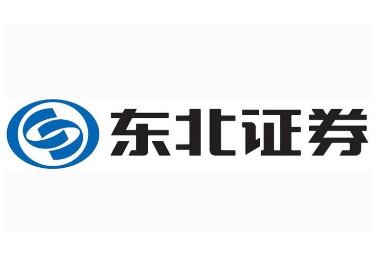 东北证券大智慧软件2026