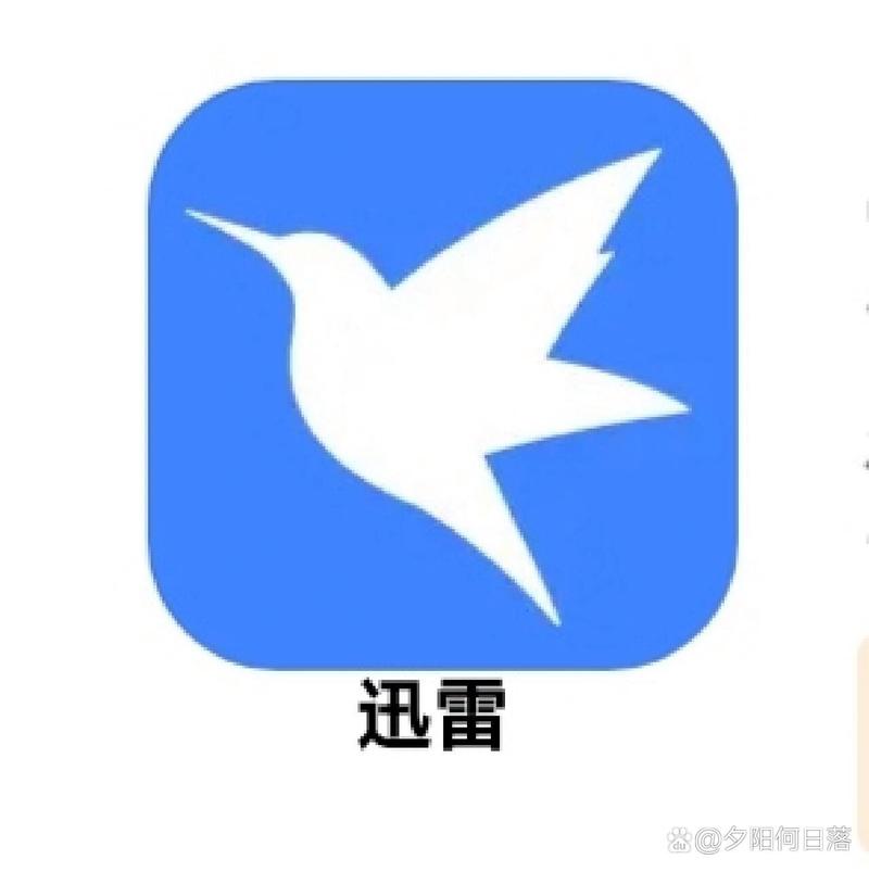 迅雷下载违规2026
