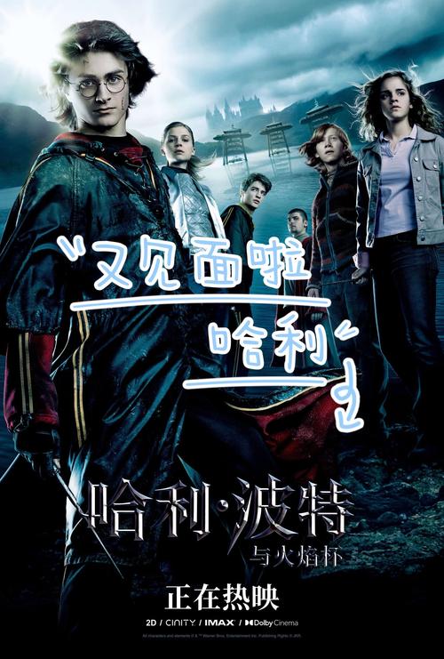 哈利波特火焰杯下载2026