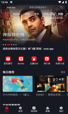 网飞猫纯净版截图