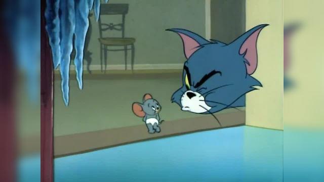 猫和老鼠全集下载截图