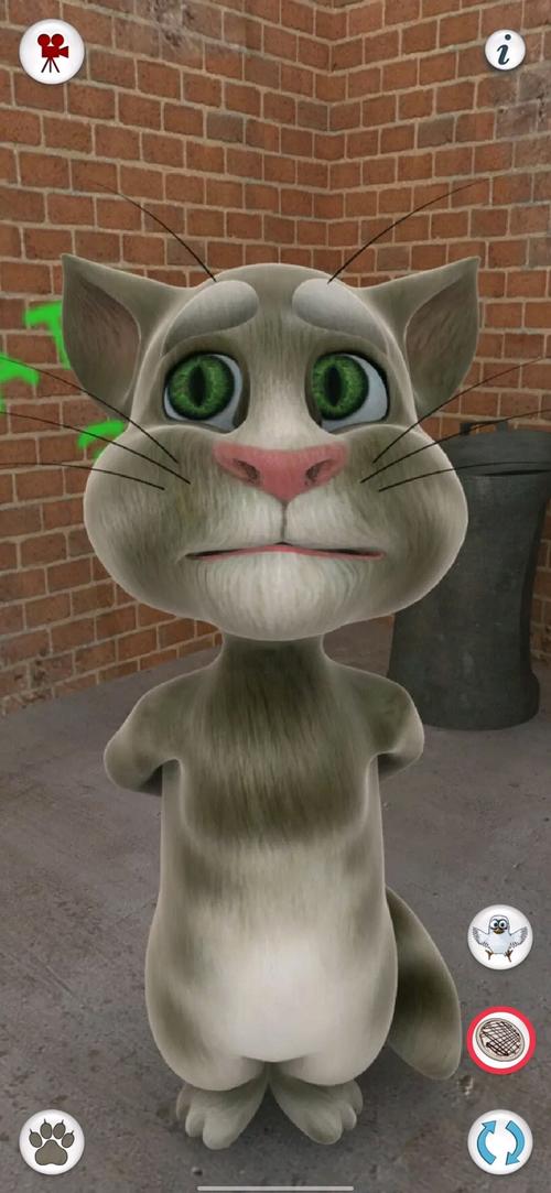 会说话的汤姆猫pc版