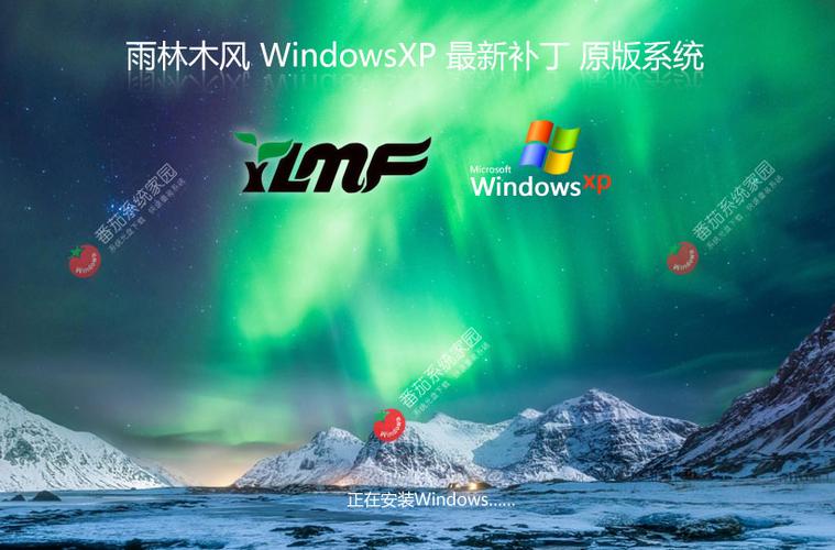 雨林木风win10下载2026