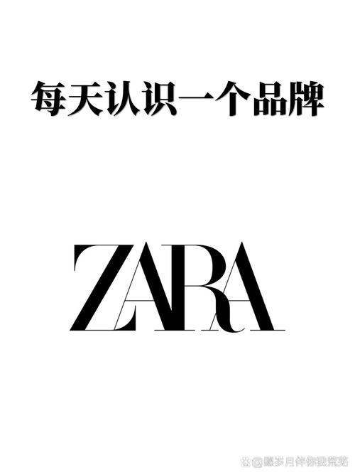 zara中国官方网站2026