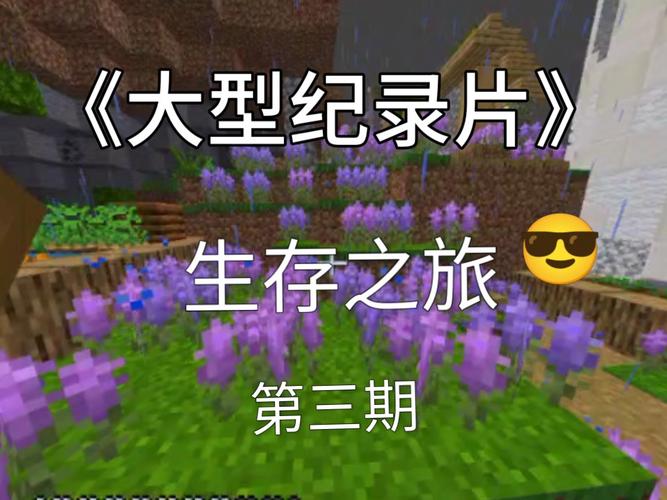 生存之旅下载截图