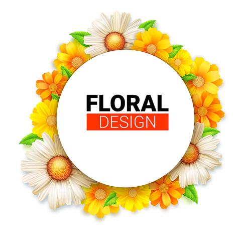 野花视频下载官网