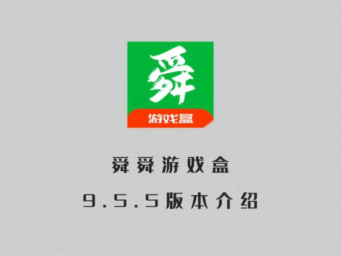 舜舜游戏盒正版