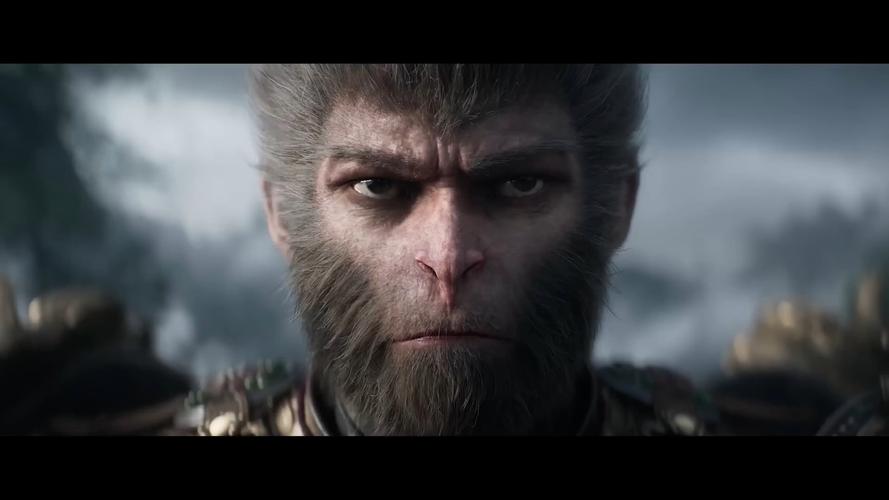 悟空视频软件截图