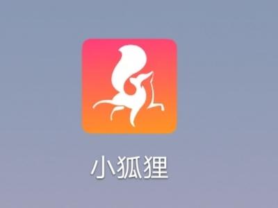 小狐狸直播app手机版截图