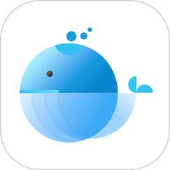 小鲸鱼app2026