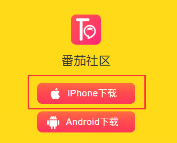 番茄社区app