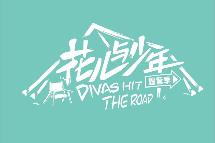 花儿与少年下载2026