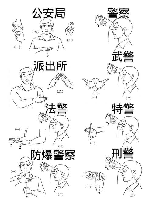 国家手语版截图