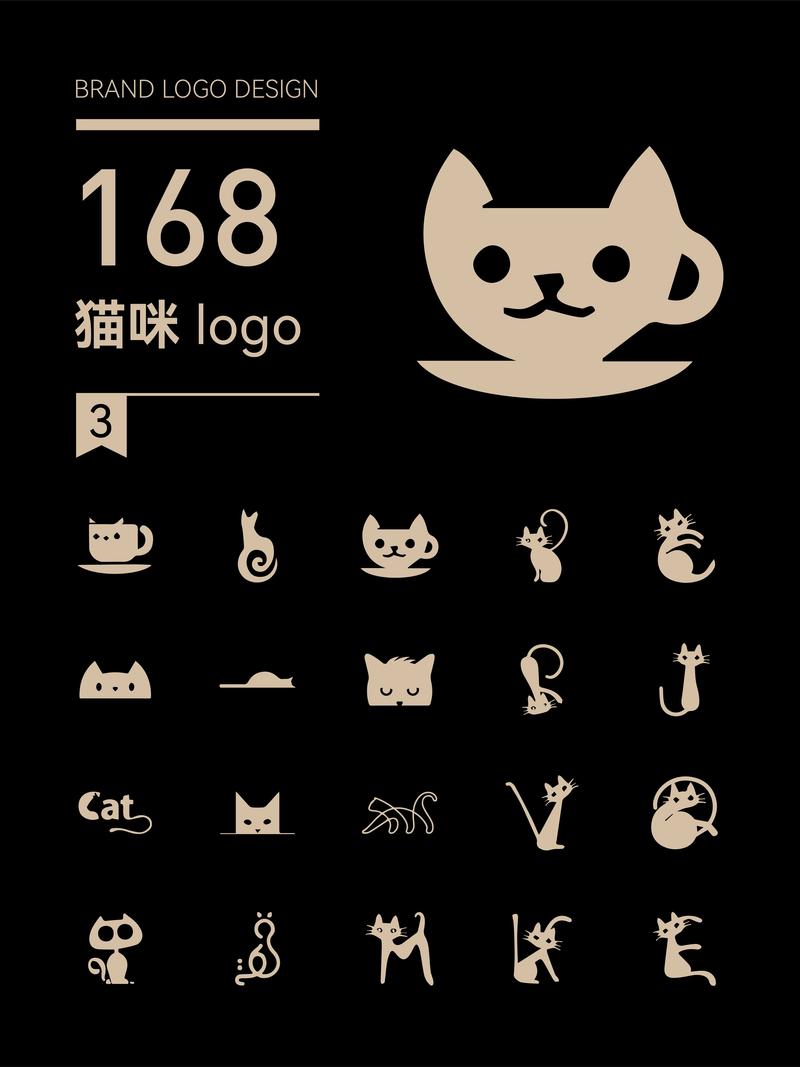 猫咪的视频2026